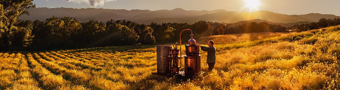 careers at l'occitane